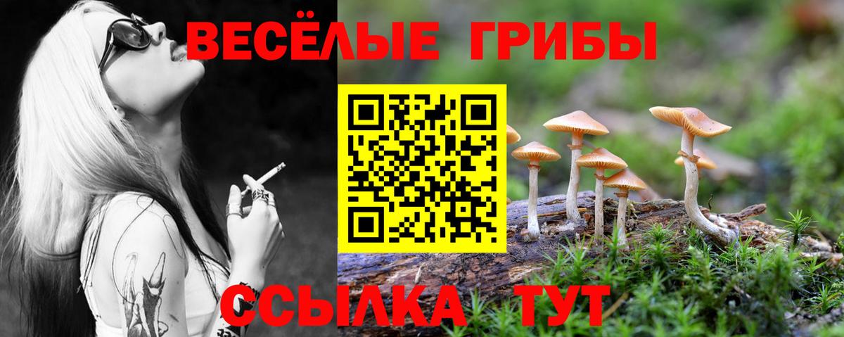 Псилоцибиновые грибы Psilocybine cubensis  Галлюциногенные грибы прущие грибы  Вход с VPN  магазин продажи наркотиков  Джанкой 