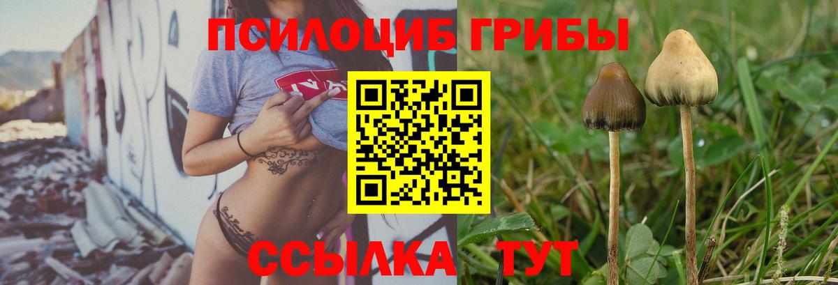 Галлюциногенные грибы прущие грибы Джанкой