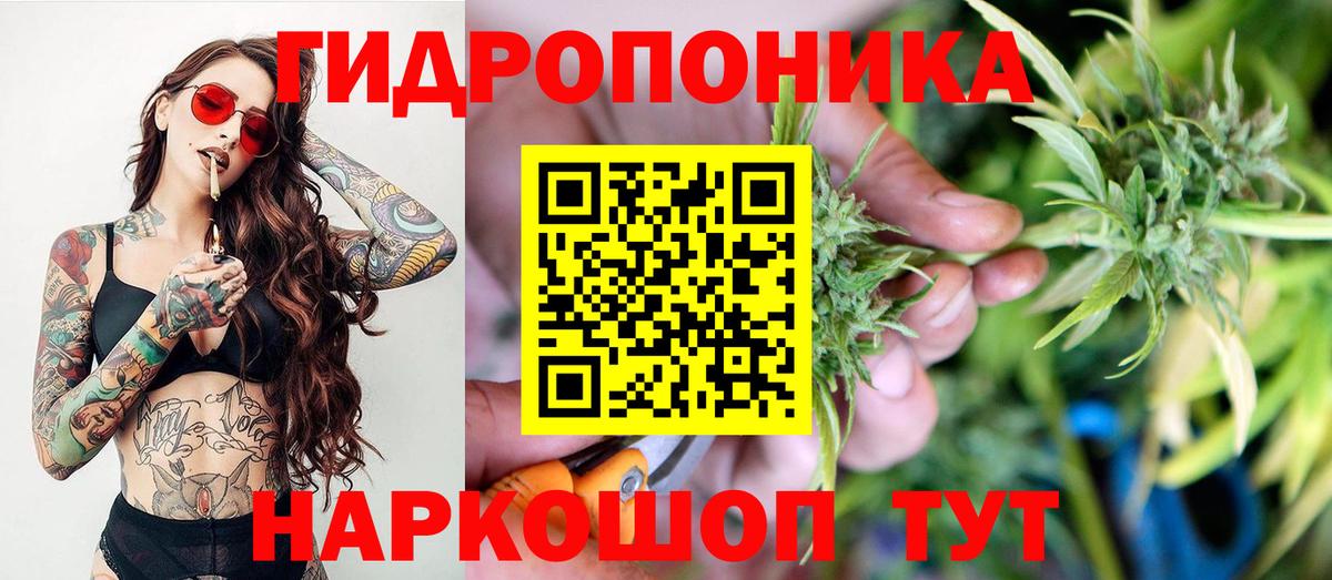 Шишки марихуана марихуана  Марихуана планчик  Вход с VPN  Джанкой 